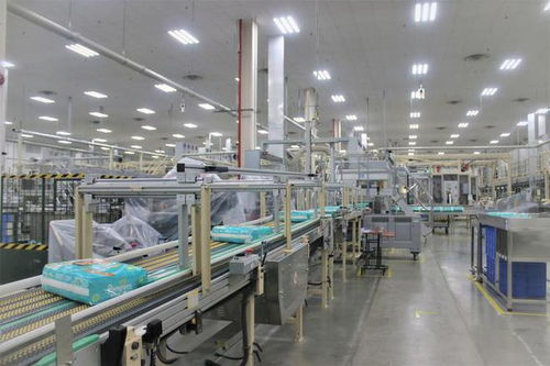 湖北高新技術產(chǎn)業(yè)與家政服務創(chuàng)新比翼齊飛，引領區(qū)域高質(zhì)量發(fā)展