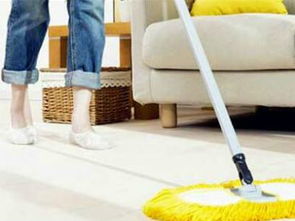 菲式管家家政加盟人氣解析 專業(yè)服務與市場潛力并存